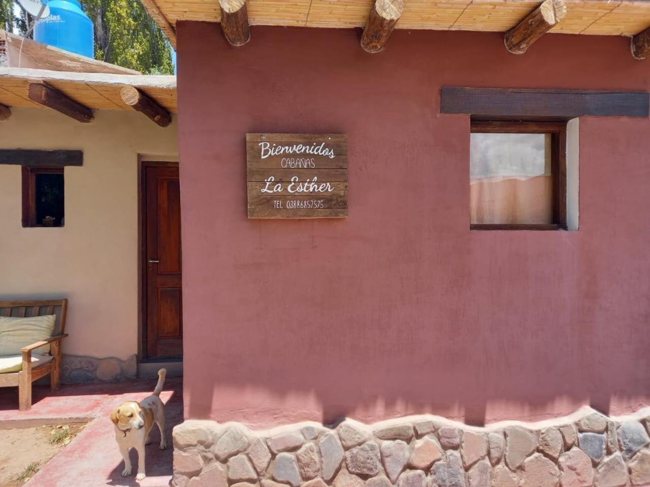 Cabanas La Esther Tilcara Luaran gambar